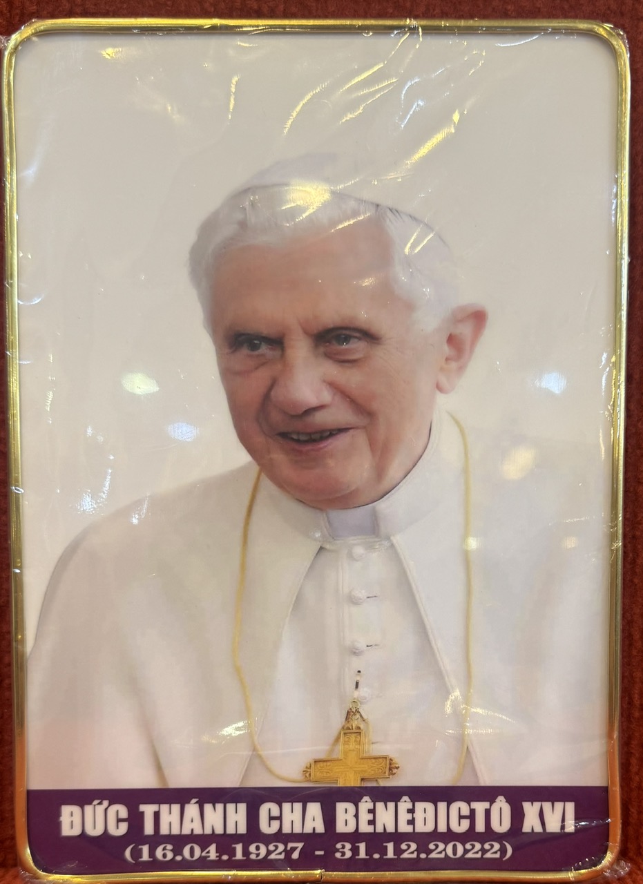 203.  AB Đức GH Benedicto XVI (15*21)cm